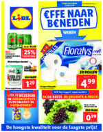Lidl brochure with new offers (1/48)
