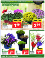 Lidl brochure with new offers (13/48)